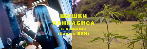 спайс Кулебаки