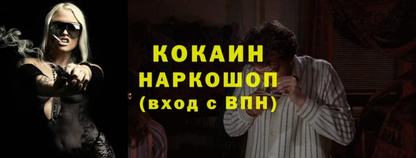 спайс Кулебаки