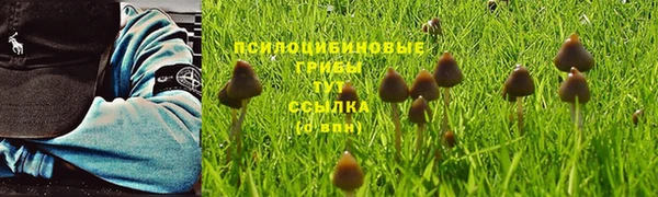 спайс Кулебаки