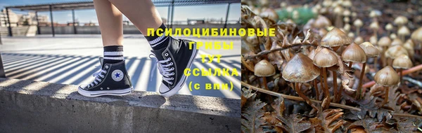 прущие крисы Куйбышев