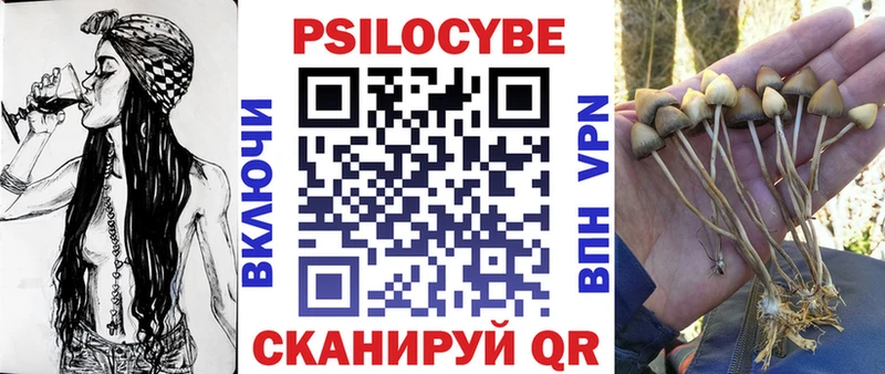 Купить где  Гаврилов Посад  Псилоцибиновые грибы ЛСД 